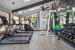 3 Palms Tucson Fitness Room 5 Area